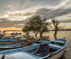 Gölyazı