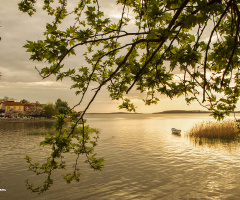 Gölyazı