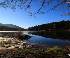 Bolu-Gölcük