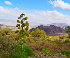 our Chiltan valley