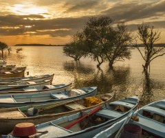 Gölyazı