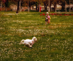 Koş Cindy koş 