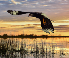 On the lagoon