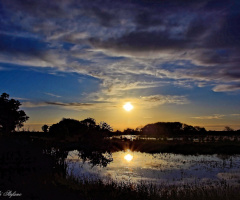 Water & sky II