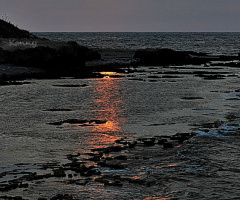 yesterday evening at the beach 