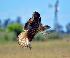 Vertical take off IV