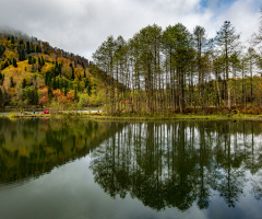 Karagöl/BORÇKA.