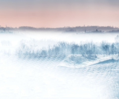 frost and fog