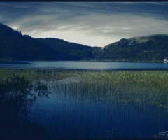 Lake Abant Nature Park