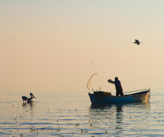 Balıkçı-Manyas