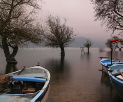 Gölyazı.Şubat 2017