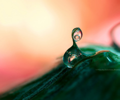 Time itself comes in drops