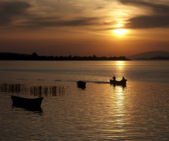 Gölyazı