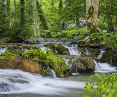 Tarsus / Çamlı yayla ( Papazın Bahçesi)