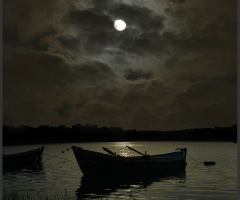 Moonlight on the Lake