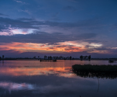 Blue Evening