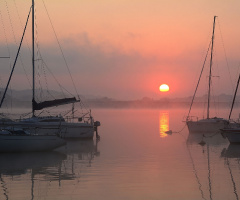 Foggy morning on the lake