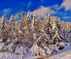 WINTER in CROATIA