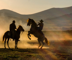 Hörmetçi/Kayseri