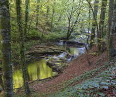 Yukarı Şapçı Şelalesi