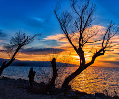 Gölyazı