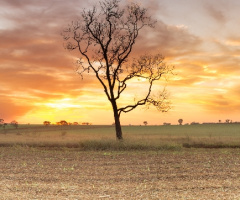 Panorâmica do por do sol