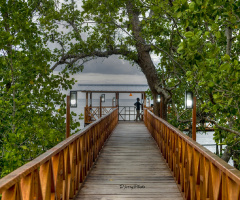 Bridge to Beach