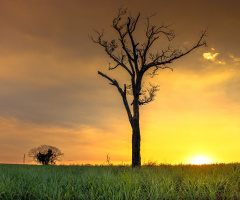 Por do sol em HDR