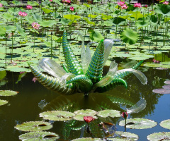 Dale Chihuly