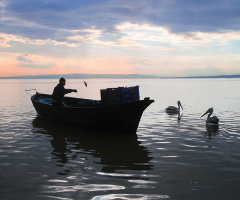 Balıkçı, Manyas