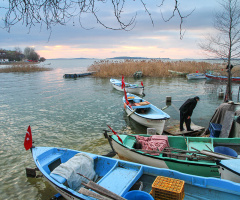 Gölyazı