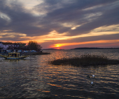 Gölyazı