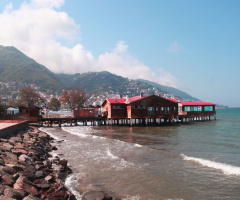 Ordu