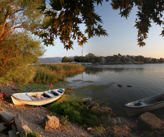 Gölyazı