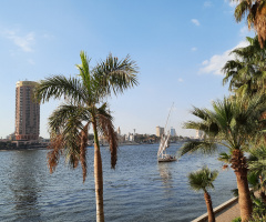 Egypt   - Cairo  - Nile River