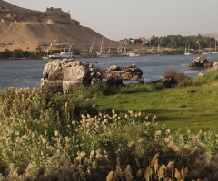 Egypt  - Aswan  