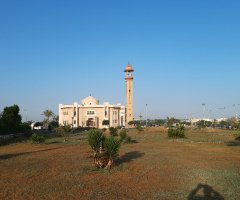 Egypt  - North coast  - mosque 