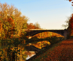 Autumn Mirror