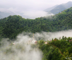 Trabzon - Dernekpazarı