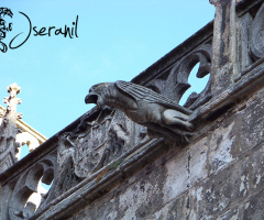 Gargola Catedral de Burgos III