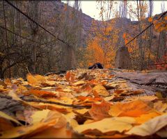 Bir Fotoğrafın Hikayesi