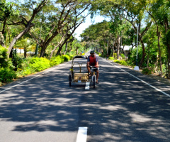 king of the road