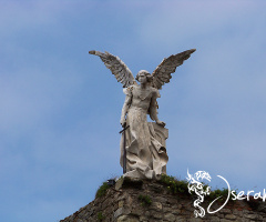 Angel in the cemetery of Comillas gothico I