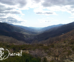 Valley Jerte Spain