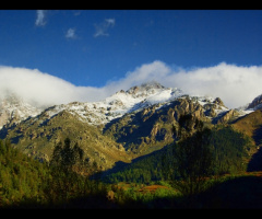 Artvin/Barhal...