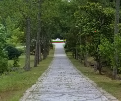 Atatürk Arboretum 