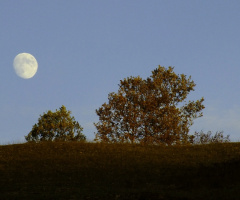 doğa