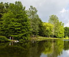 Atatürk Arboretumu III