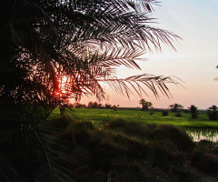 Sun setting at my village