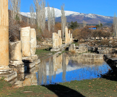 Aphrodisias..